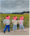 09d1b16692bdd599e80dc929a3b7630d_1760068315_6385.png